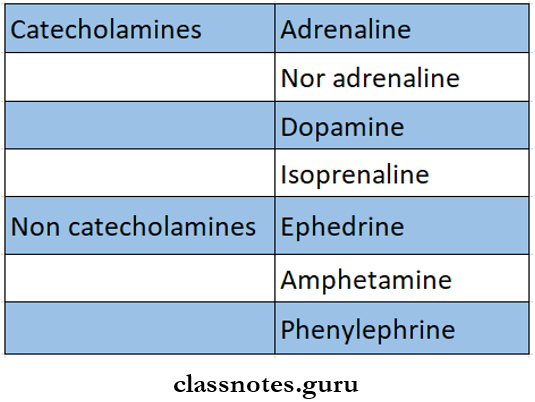 Adrenergic System Adrenergic Drug