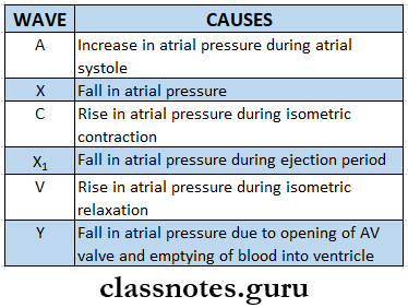 Aims Of Medicine And Clinical Methods Jugular Venous Pressure