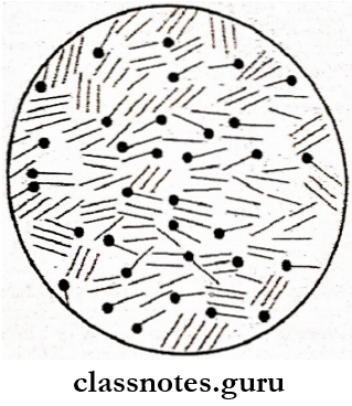 Bacterial Infections Clostridium Tetani