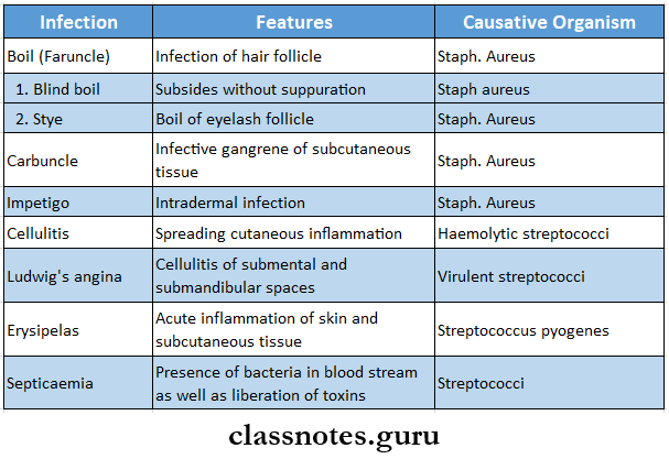 Bacterial Infections Different Infections