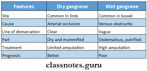 Bacterial Infections Gangrene