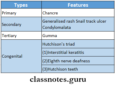 Bacterial Infections Syphilis Types And Features