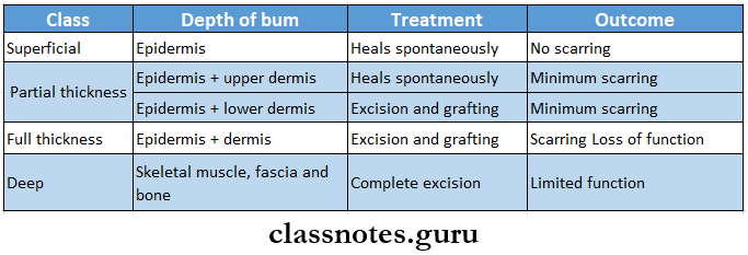 Burns Skin Grafting And Flaps Classification