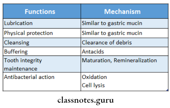 Defence Mechanism Of Gingiva Functions of Saliva