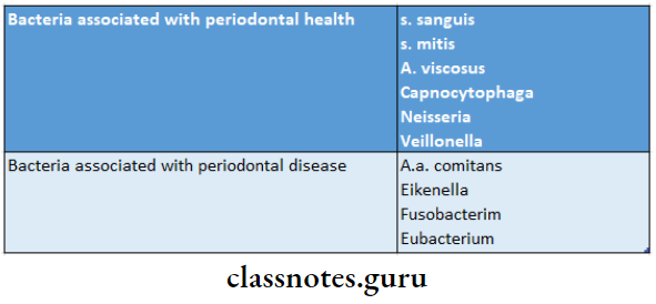 Dental Plaque Bacteria and periontal health