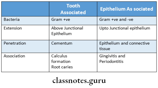Dental Plaque difference between tooth associated and epithelium associated plaque