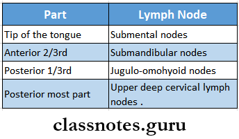Diseases Of The Arteries Veins And Lymphatic System Lymphatic Drainage Of Tongue