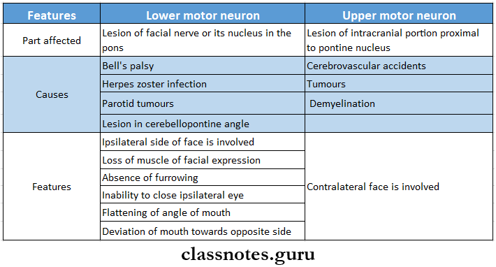 Diseases Of The Nervous System Lower Neuron Or Upper Motor Neuron