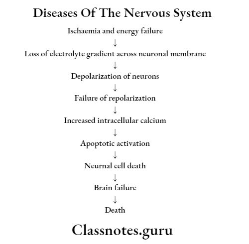 Diseases Of The Nervous System Pathogenesis