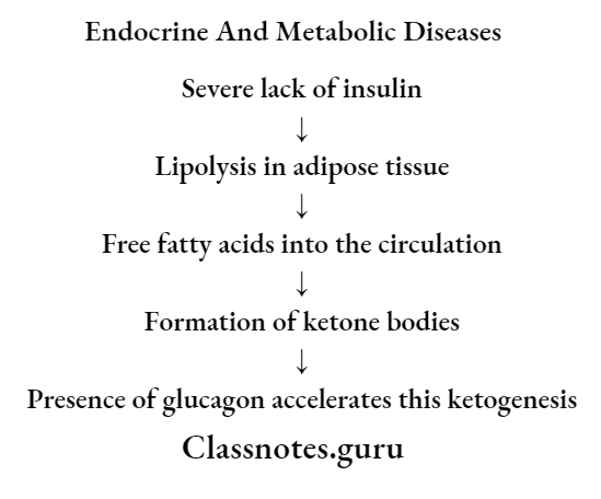 Endocrine And Metabolic Diseases Diabetic Ketoacidosis Pathogenesis