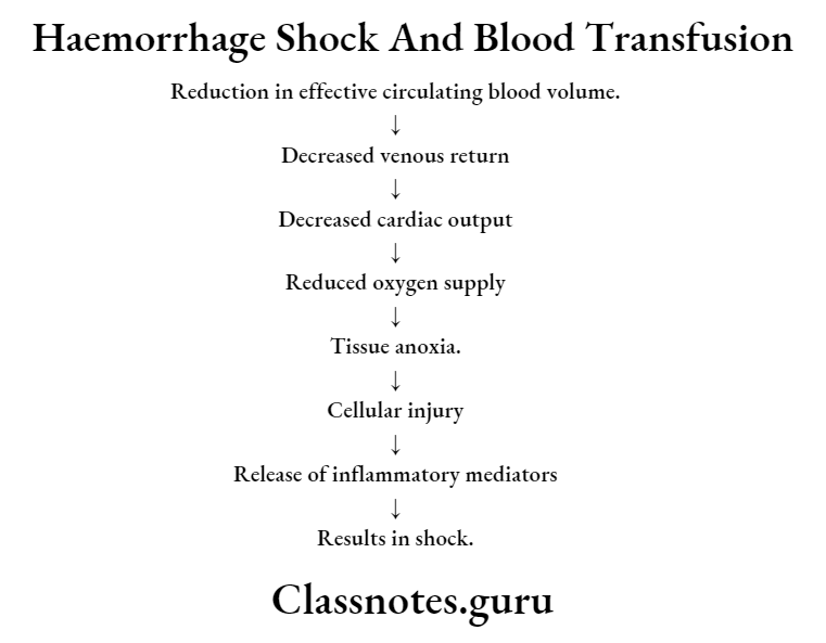 Haemorrhage Shock And Blood Transfusion Reduction In effective Circulating Blood Volume