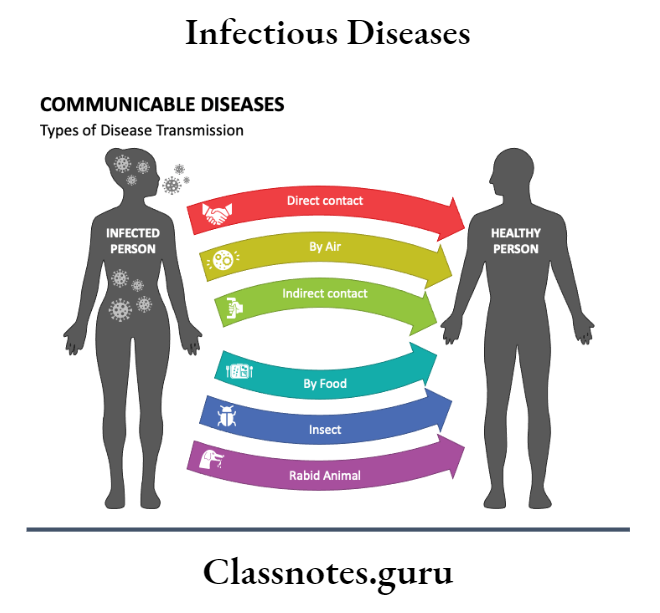 Infectious Diseases Types Of Diseases Transmission