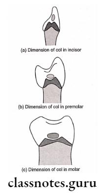 Normal Periodontium Col in various types of contacts
