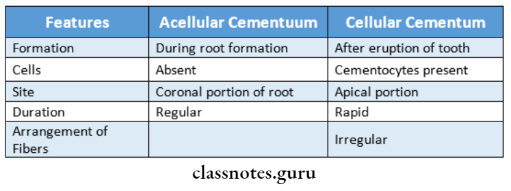 Normal Periodontium difference between acllular cementuum and cellular cementum