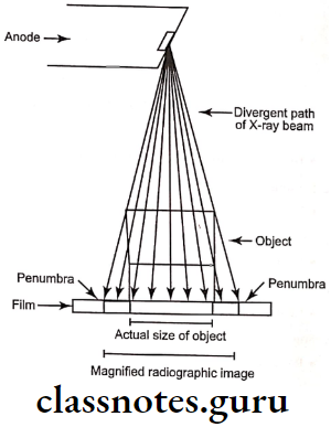 Oral Radiology Ideal Radiograph Diagram illustrating magnification as a result of the divergent paths of the X ray beam