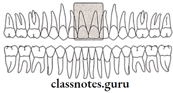 Oral Radiology Intraoral Radiographic Techniques Image field should include both central incisors