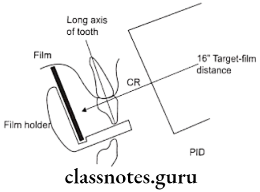 Oral Radiology Intraoral Radiographic Techniques Positions of the film tooth and the central ray of the x ray beam