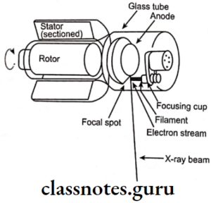 Oral Radiology Production Of X Ray X ray tube with a rotating anode X ray tube with a rotating anode