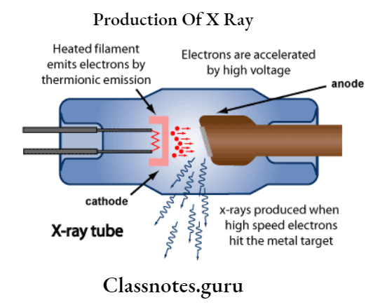 Production Of Ray