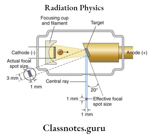 Radiation Physics