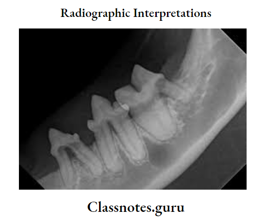 Radiographic Interpretations
