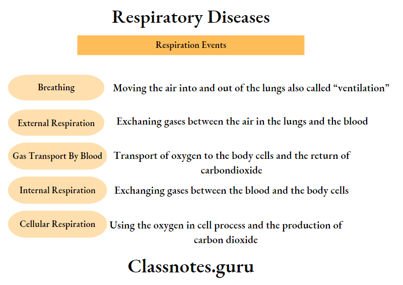 Respiratory Diseases Respiration Events