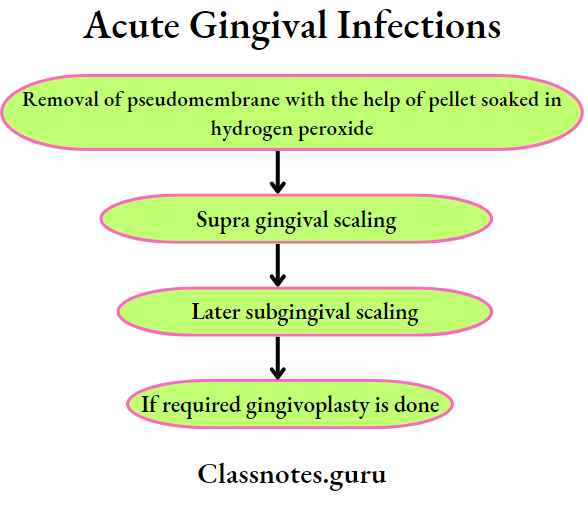 Acute Gingival Infections Removal of pseudomembrane with the help of pellet soaked in hydrogen peroxide