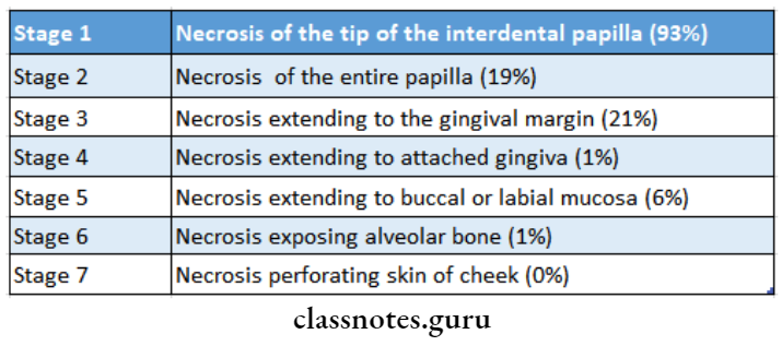 Acute Gingival Infections Stages of ANUG
