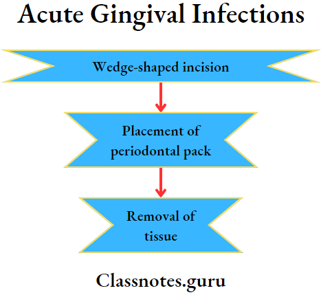 Acute Gingival Infections wedge shaped incision