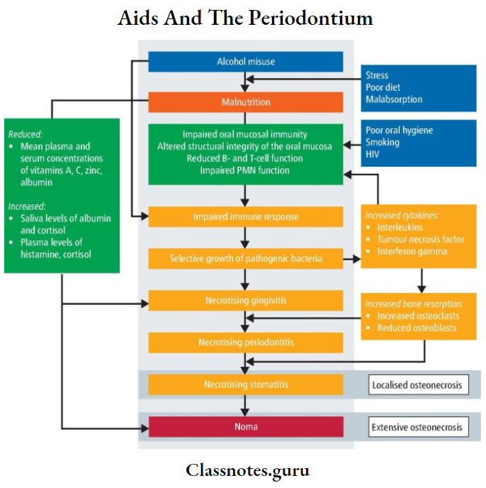 Aids And The Periodontium HIV periodontitis
