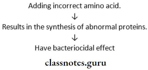 Aminoglycosides Adding Incorrect Amino Acid