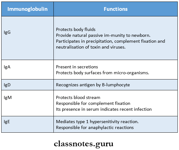 Antibodies Immunoglobulins Functions Of Antibodies