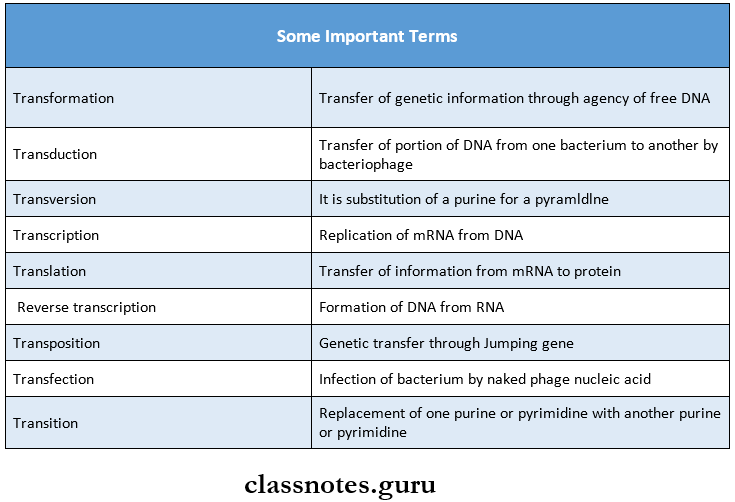 Bacterial Genetics Some Important Terms