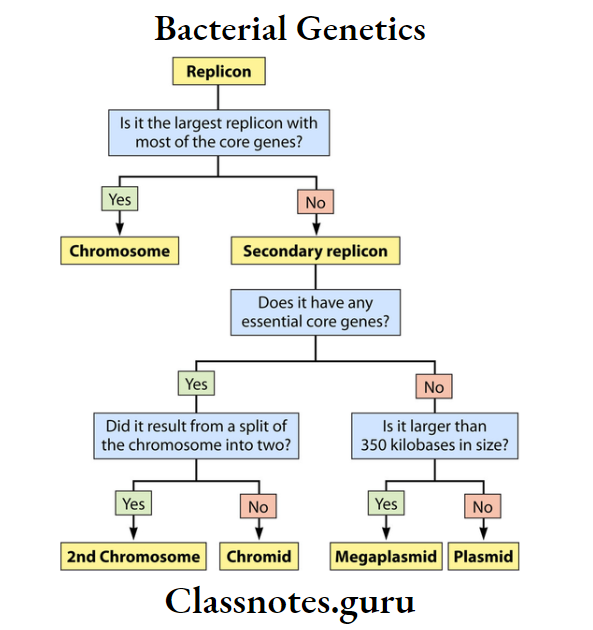 Bacterial Genetics The Classification Of Bacterial Replicons