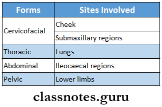 Bacterial Infections Of Oral Cavity Actinomycosis Causative Organisms Forms
