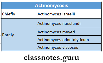 Bacterial Infections Of Oral Cavity Actinomycosis Causative Organisms