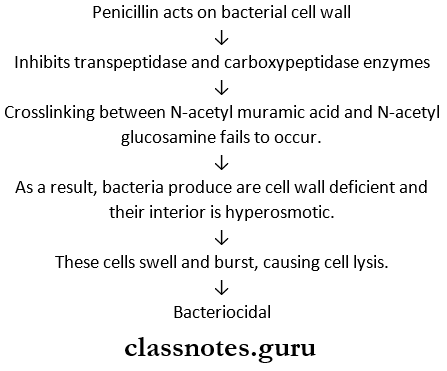 Beta Lactum Antibiotics Penicillins Act As Bacteriocidal Agent Mechanism