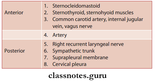 Blood Vessels Of Head And Neck Ophthalmic Artery Relation First Part