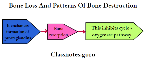 Bone Loss And Patterns Of Bone Destruction agents of bone resorption
