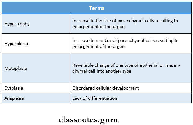 Cellular Adaptations terms
