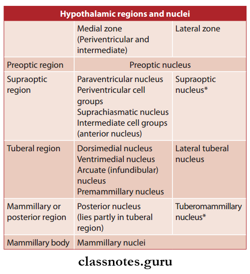 Cerebrum Hypothalamic Regions And Nuclei