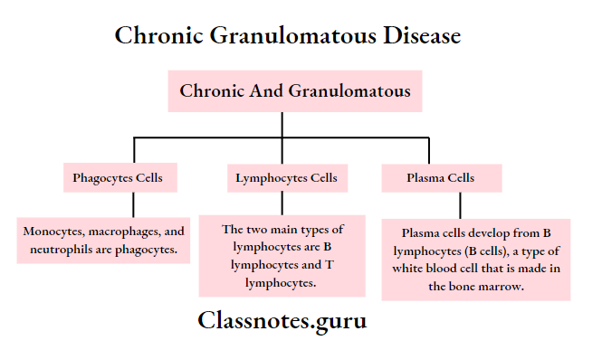 Chronic Granulomatous Diseases