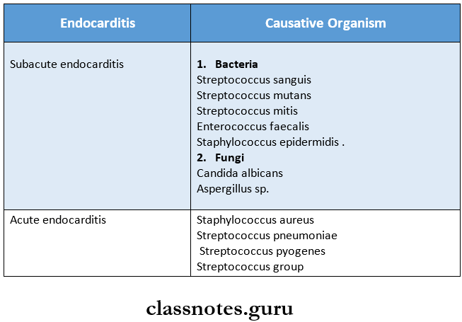 Clinical Microbiology Micro-Organism causing infective endocarditis