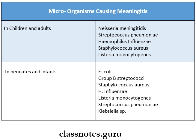 Clinical Microbiology Micro- Organisms Causing Meaningitis
