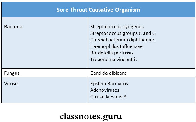 Clinical Microbiology Sore Throat Causative Organism