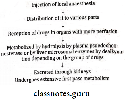 Clinical Topics Metabolism Of local Anaesthesia