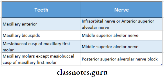 Clinical Topics Nerve Supply To Maxillary Teeth
