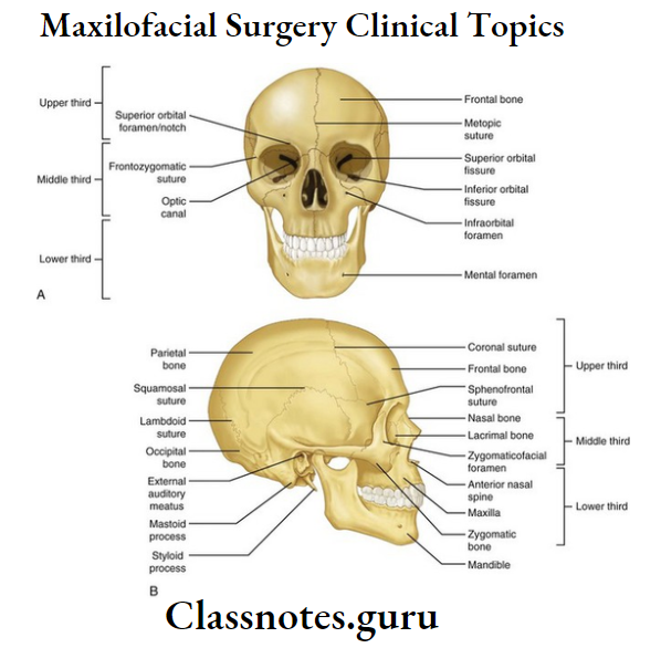 Clinical Topics Surgical Anatomy