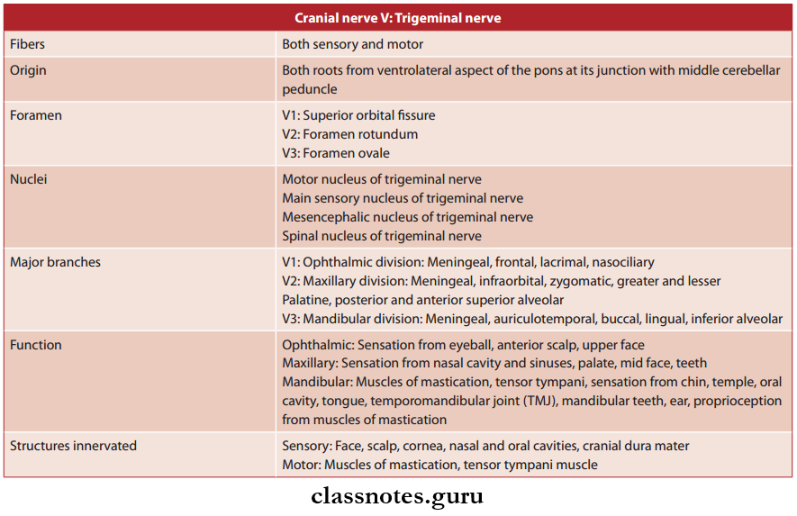 Cranial Nerves Trigeminal Nerve