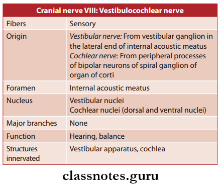Cranial Nerves Vestibulocochlear Nerve